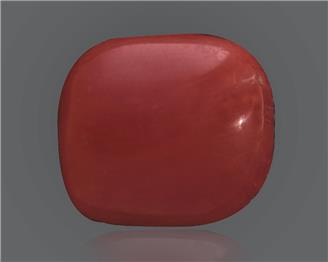 Red Coral (Moonga) Natural Certified 8.86 RATTI ( 49664 )